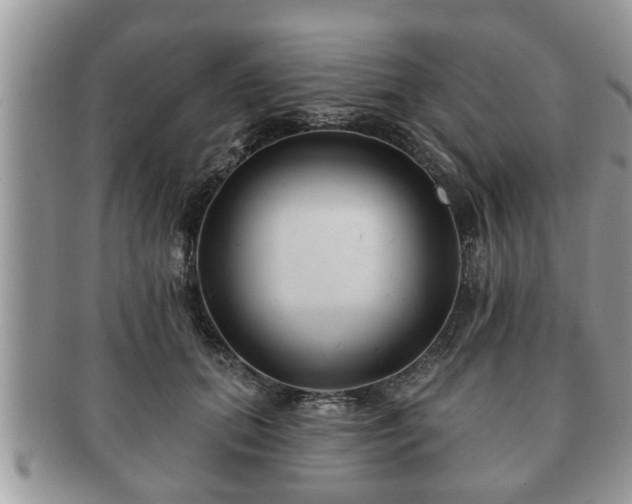 X0000091170655200708161500