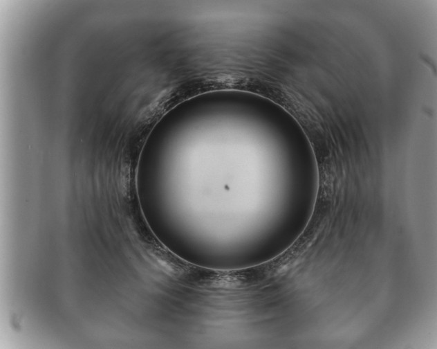 X0000091170656200708161500