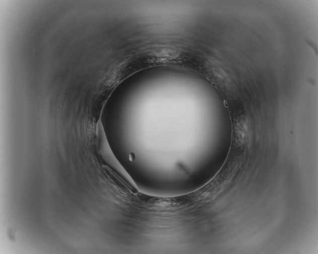 X0000091170657200708161500