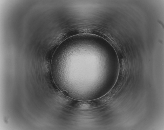 X0000091170658200708161500