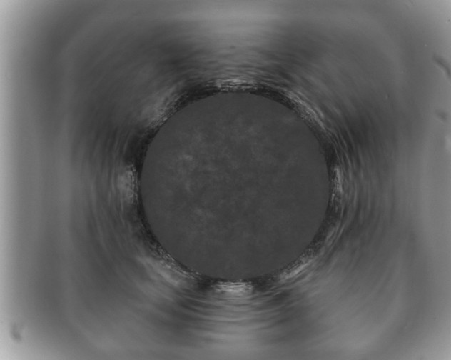 X0000091170659200708161500