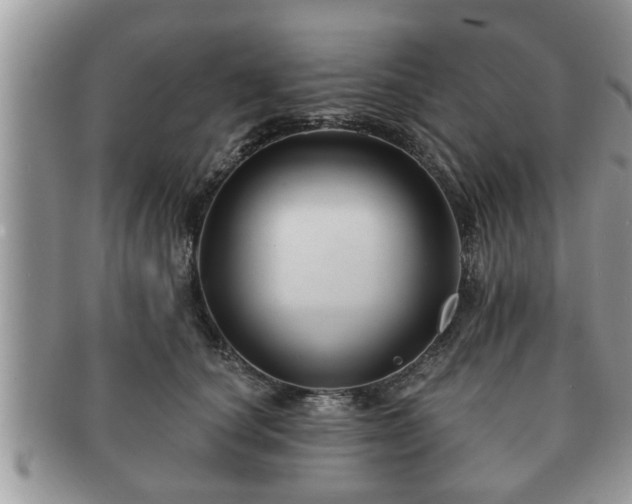 X0000091170660200708161500