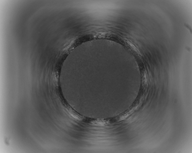 X0000091170661200708161500