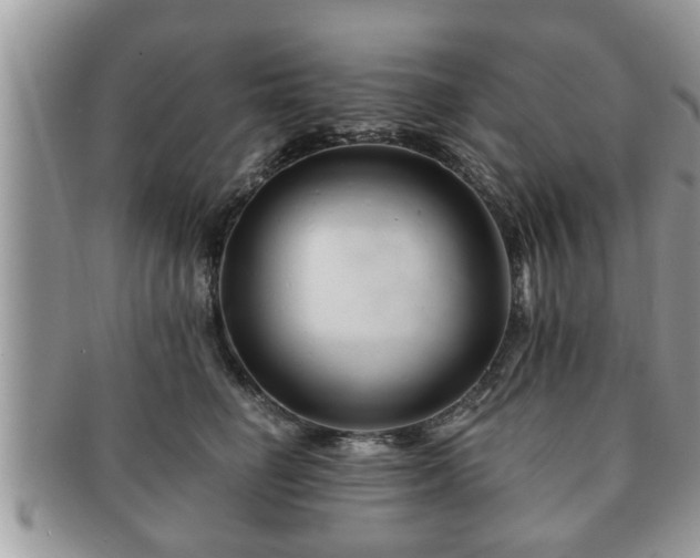 X0000091170662200708161500