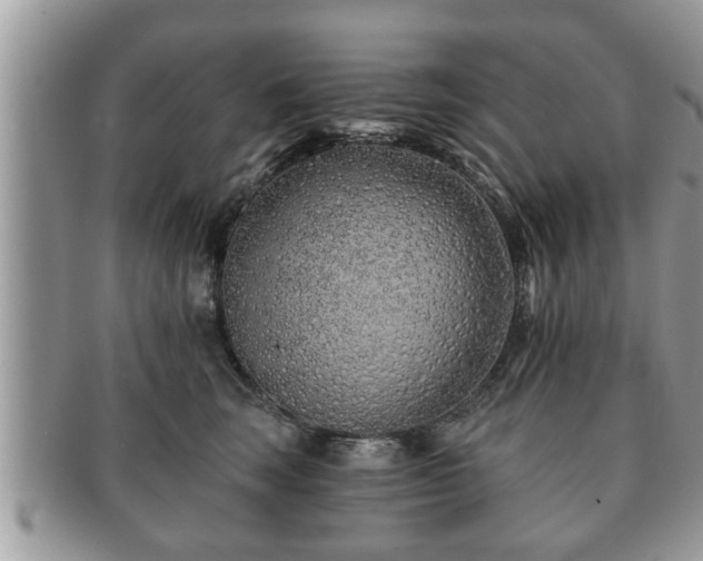 X0000091170663200708161500