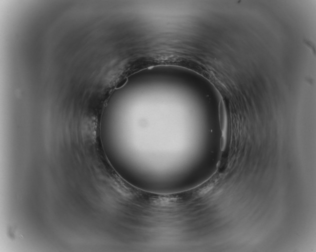 X0000091170664200708161500