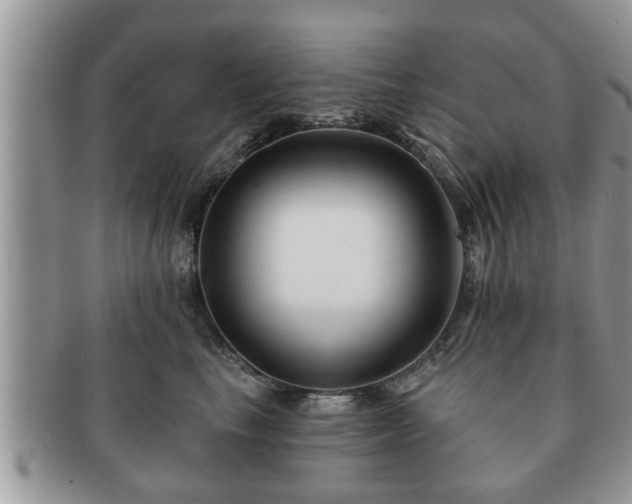 X0000091170665200708161500