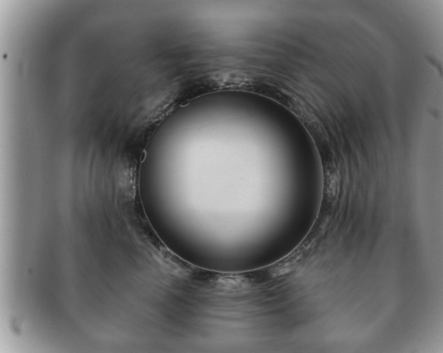 X0000091170666200708161500