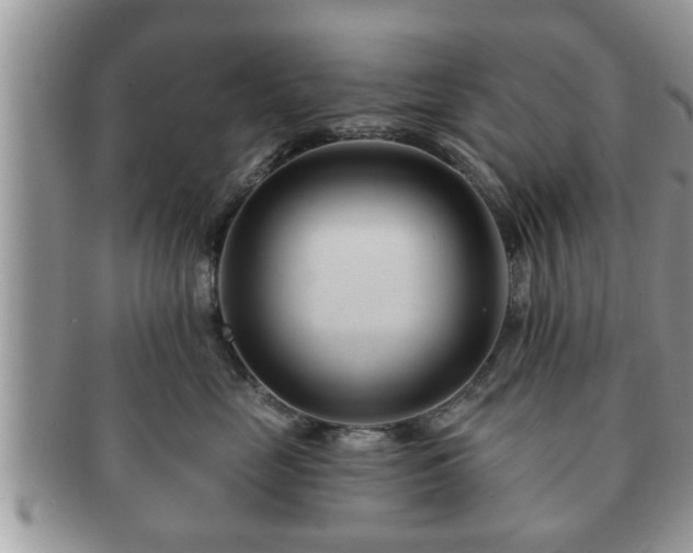 X0000091170669200708161500