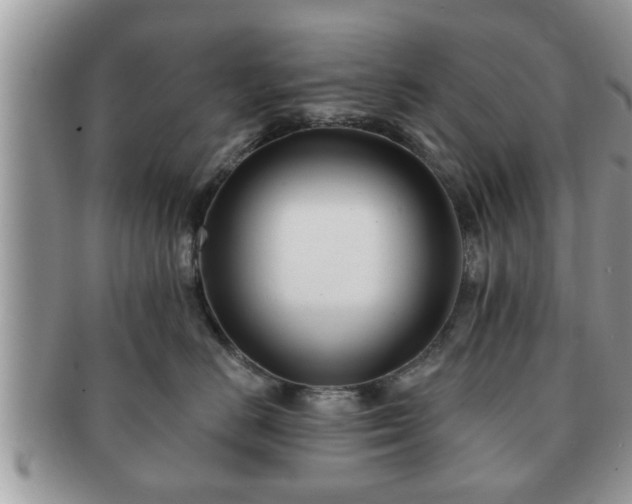 X0000091170670200708161500