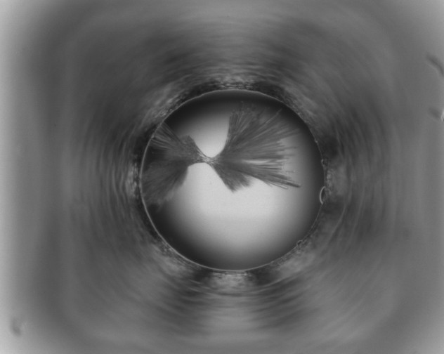X0000091170671200708161500
