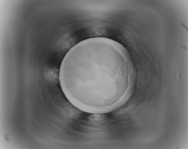 X0000091170672200708161500