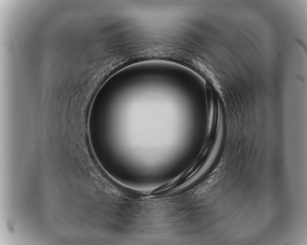 X0000091170673200708161459