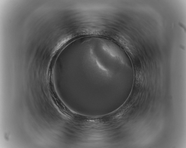 X0000091170674200708161459