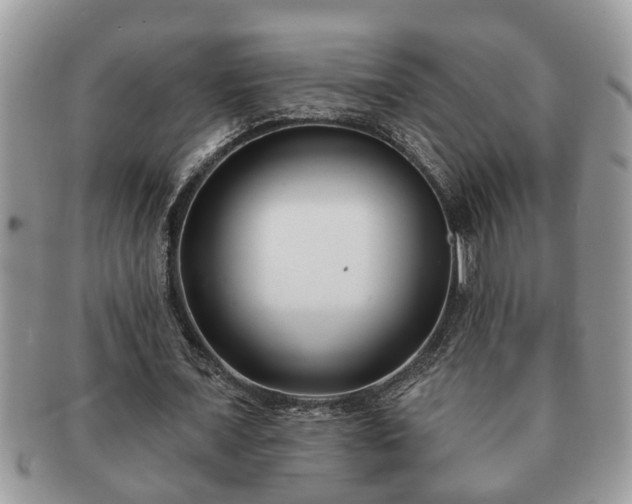 X0000091170675200708161459