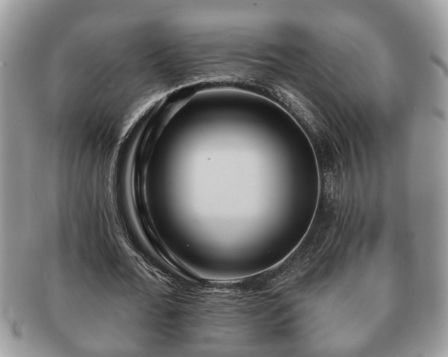 X0000091170676200708161459