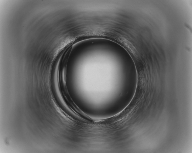 X0000091170677200708161459