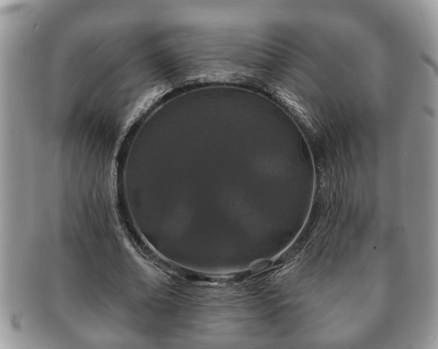 X0000091170678200708161459