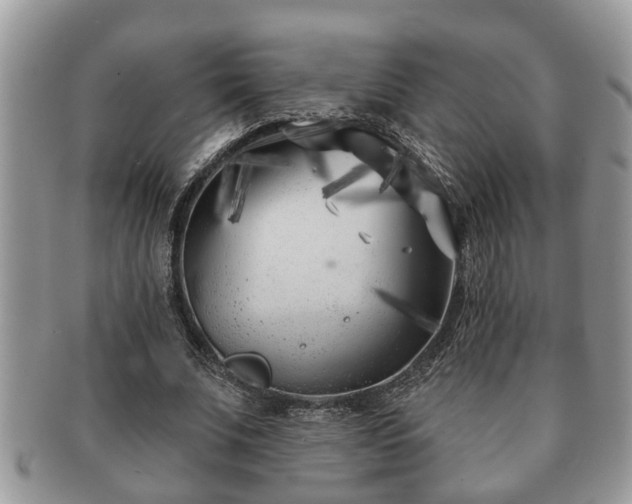 X0000091170679200708161459