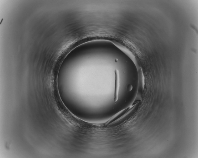 X0000091170680200708161459