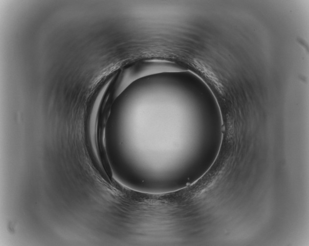 X0000091170681200708161459