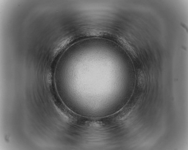 X0000091170683200708161459