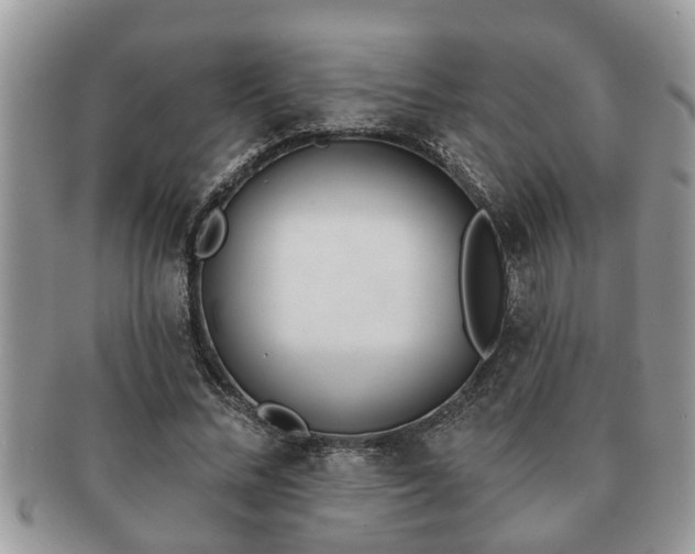 X0000091170684200708161459