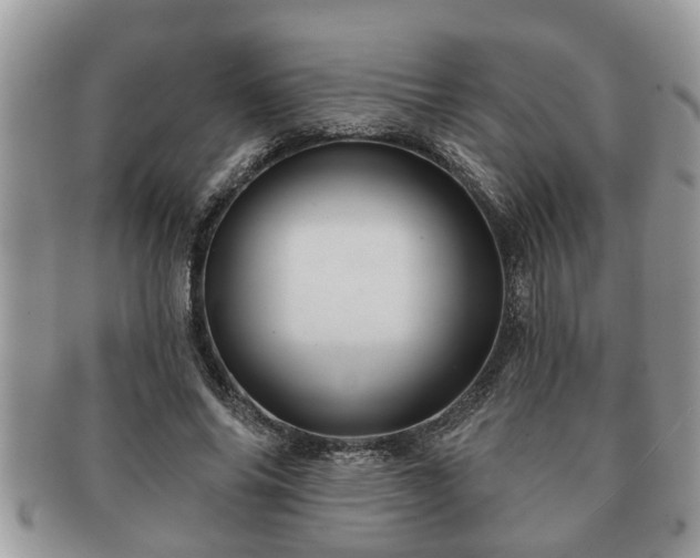 X0000091170686200708161459