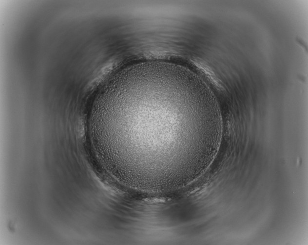 X0000091170687200708161459