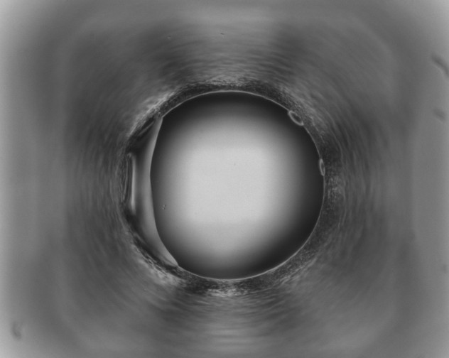 X0000091170688200708161459