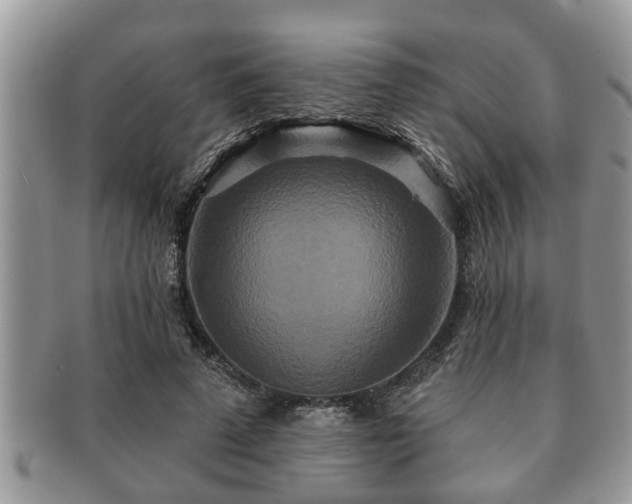 X0000091170689200708161459