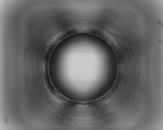 X0000091170690200708161459