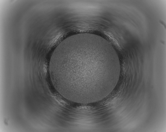 X0000091170691200708161459