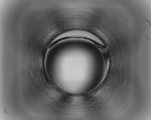 X0000091170693200708161459