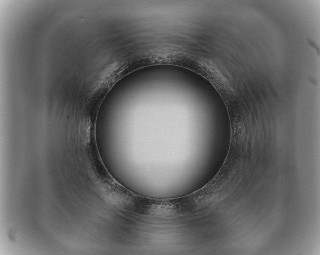 X0000091170694200708161459