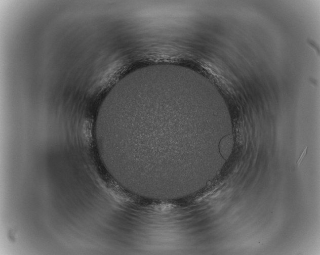 X0000091170695200708161459