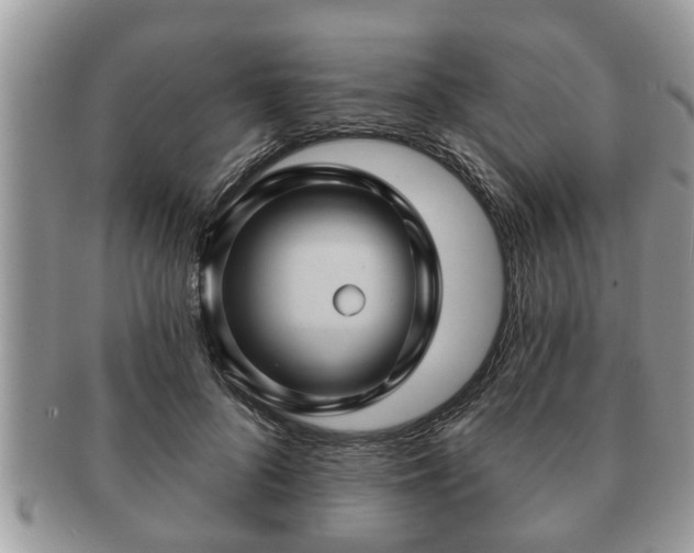 X0000091170696200708161459