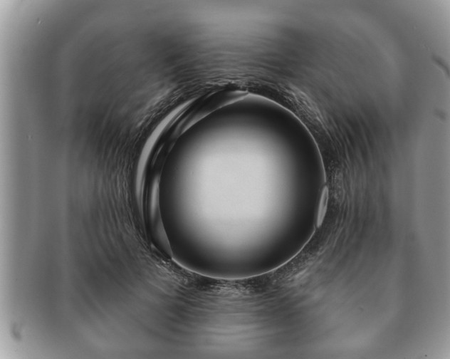 X0000091170697200708161459