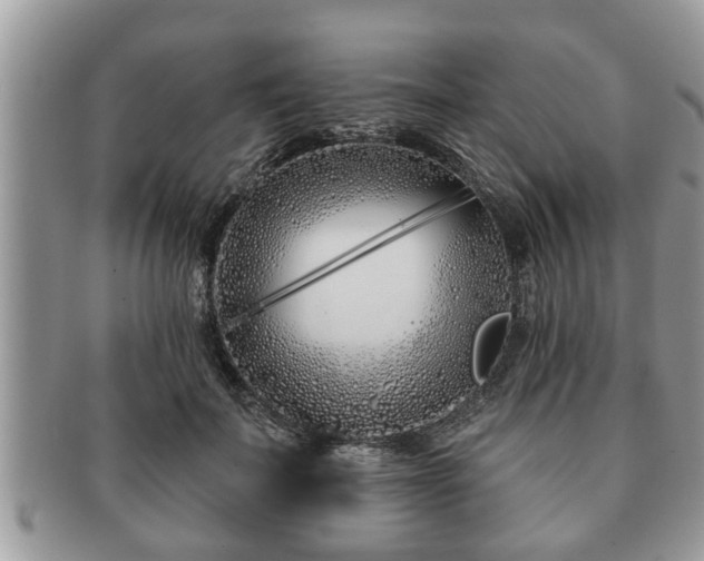 X0000091170699200708161459