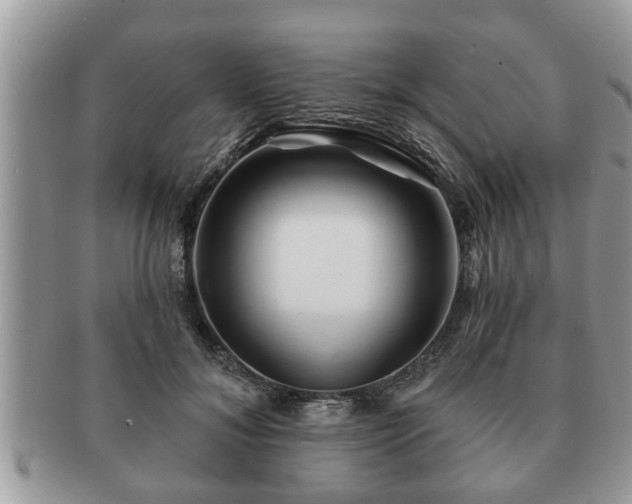 X0000091170700200708161459