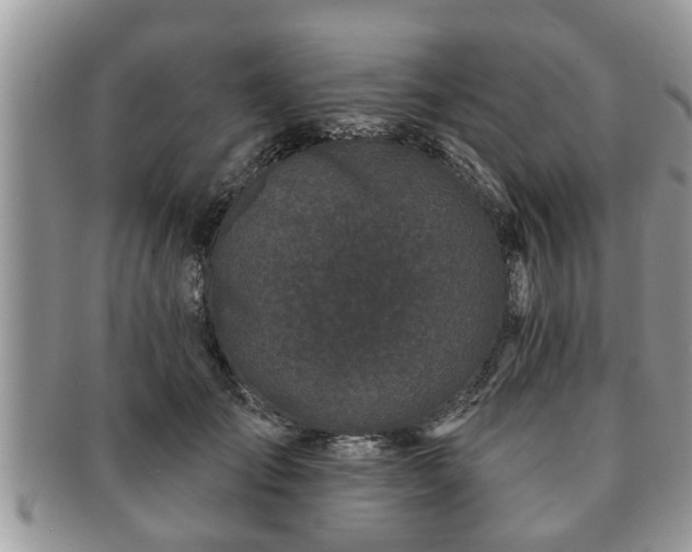 X0000091170701200708161459