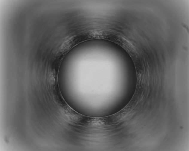 X0000091170702200708161459