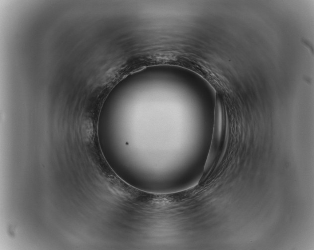 X0000091170704200708161459