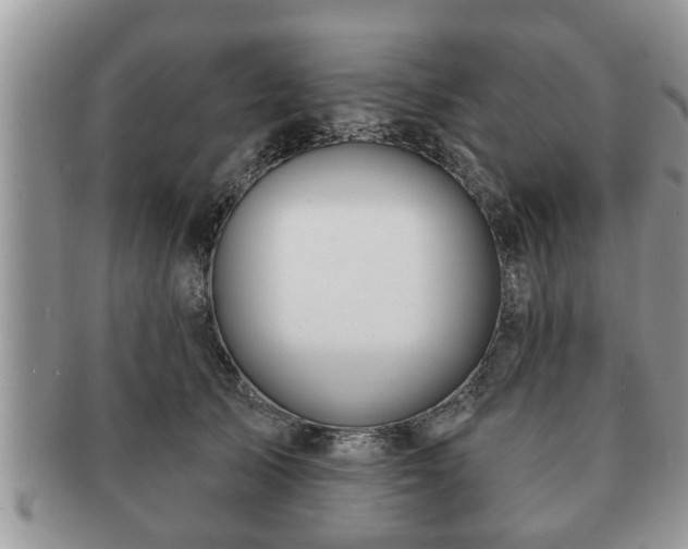 X0000091170705200708161459