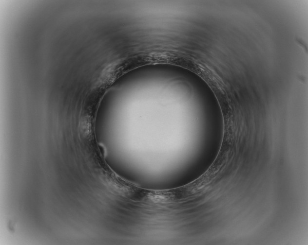 X0000091170706200708161459