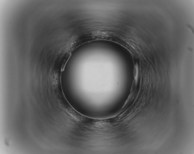 X0000091170708200708161459