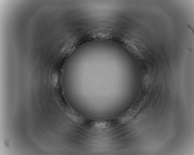 X0000091170709200708161459