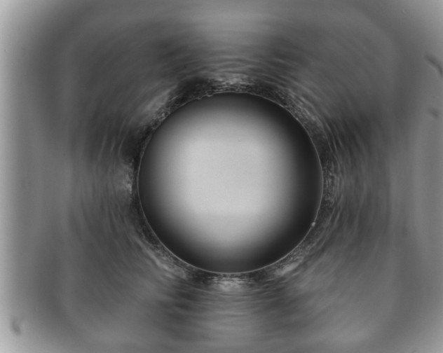 X0000091170710200708161459