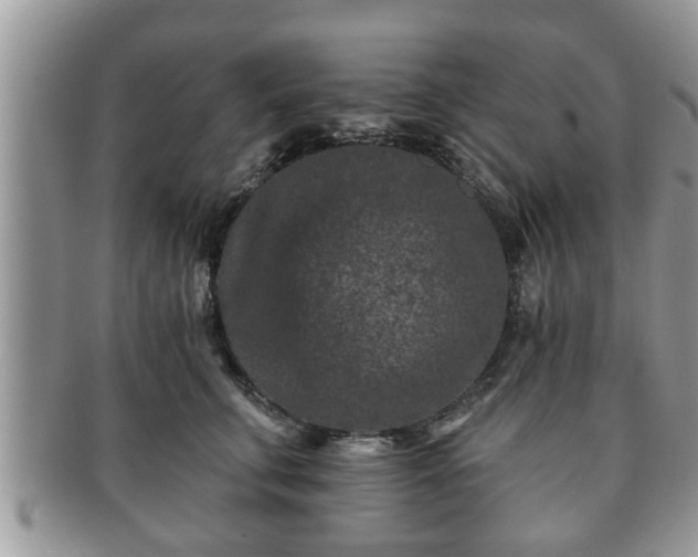 X0000091170711200708161459