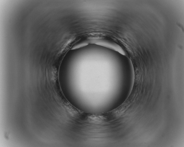 X0000091170712200708161459